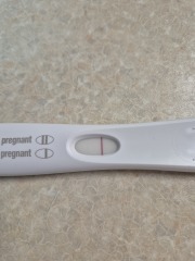 What are the chances of two pregnancy tests being positive and them both being false?