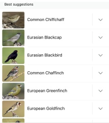Garden birds today according to my Merlin app
