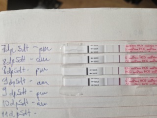 Line progression after FET