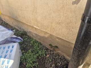 Looks like external damp on my new build??