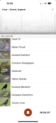 Garden birds today according to my Merlin app