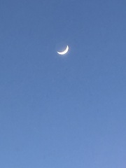 Come and tell us your dull and unexciting news 33: Calmly through the day