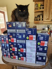 Hymns in Minor Keys & the Russian Easter Overture - the Excellent Cats ignore Culture.....