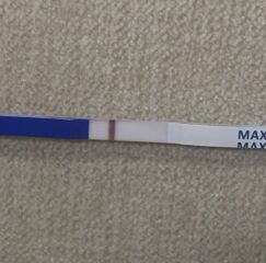 May 2025 TTC Support Group