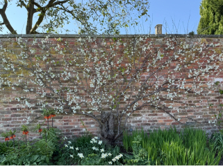 The Year Round Nigel Slater Discussion thread