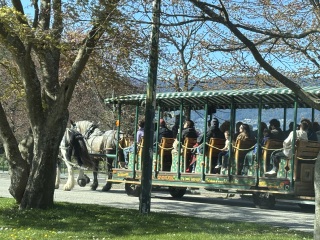 Come and tell us your dull and unexciting news 33: Calmly through the day