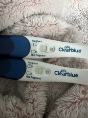 Are these too light for 15dpo