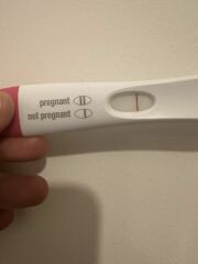FRER 8DPO
