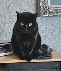 Mounjuro Auggies Thread 13