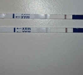 Pregnancy test