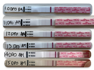 This progression isn’t looking good is it?