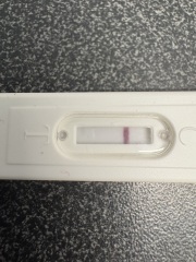 Pregnant