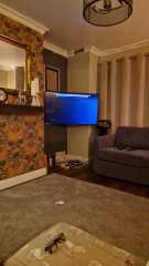 Has anyone got a dark painted living room?