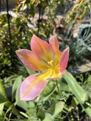 Show Us Your Photos