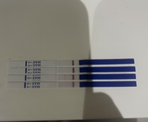 Anyone Else 5/6 DPO? Let’s Survive the Wait Together!