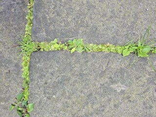 Council slab patio gaps