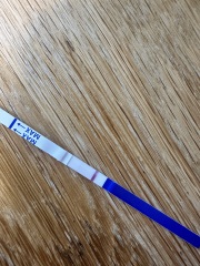 April 2025 TTC Support Group