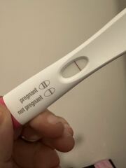 FRER 8DPO