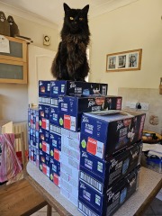 Hymns in Minor Keys & the Russian Easter Overture - the Excellent Cats ignore Culture.....