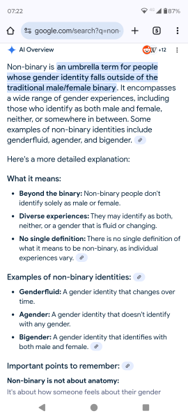 9 yr old told off for calling non-binary teacher Sir
