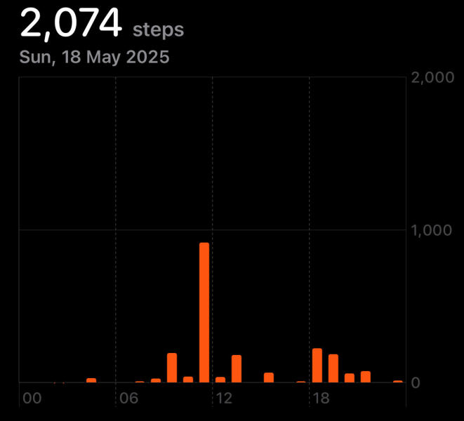 how many steps do you do a day?