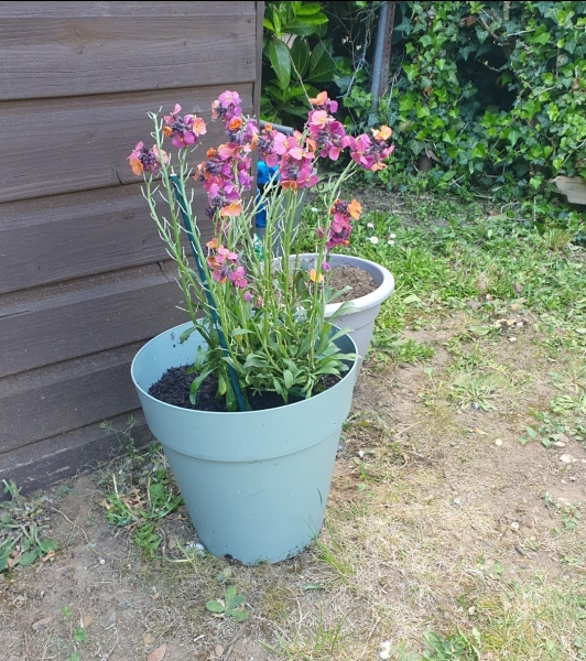 Will these survive?