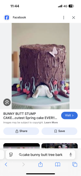 Non professional cake makers - what's the best (easiest) novelty cake you have ever made?