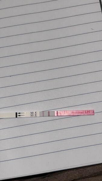 3DPO, Two week wait..