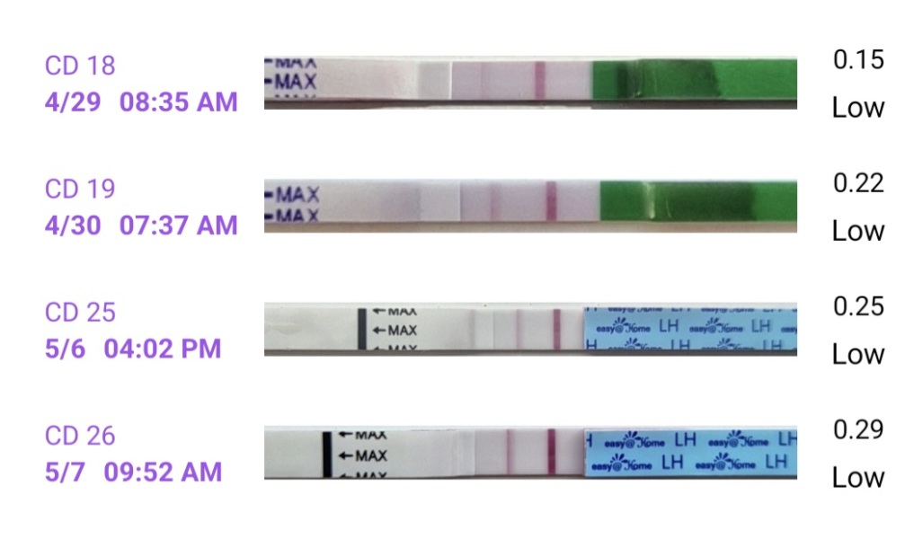 In the dreaded 2 week wait