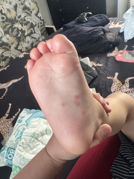 To take him to hospital?