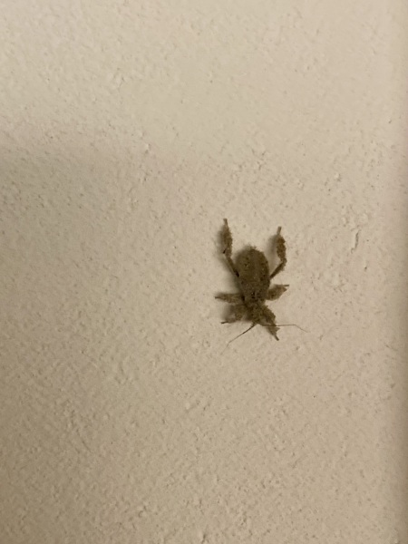A do-I-have-to-burn-my-house-down post