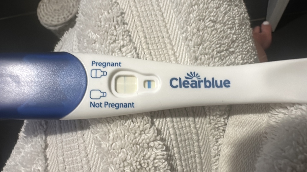 Due February 2026 ✨