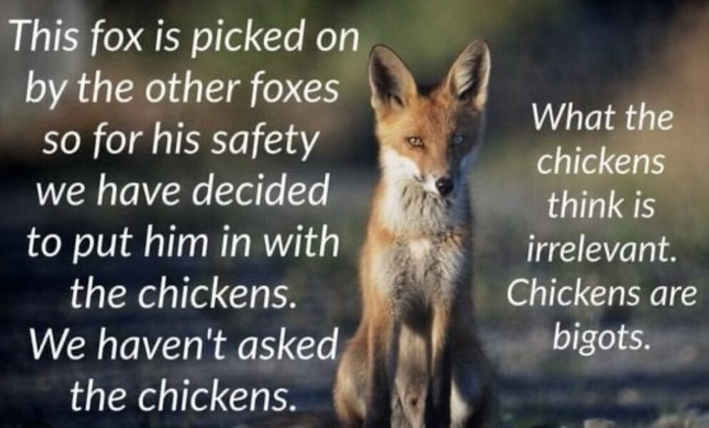 Why don't trans women care if women feel unsafe?