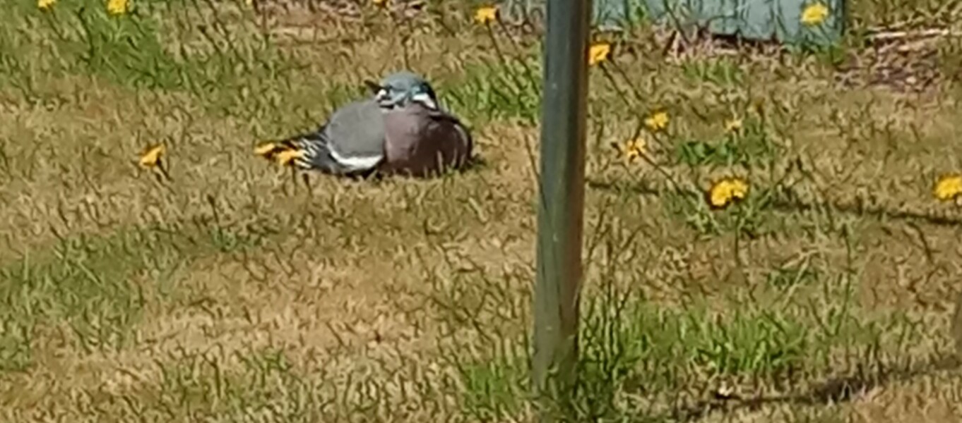 Thread 24 Starmer -Casting the net wider