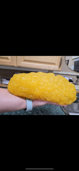 March 2025 starters Thread 5