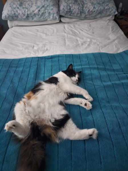 Show me your posers