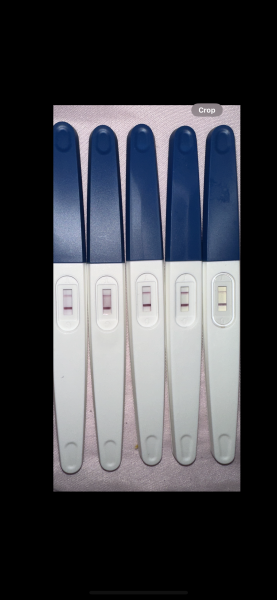Tests getting lighter at 5 weeks.