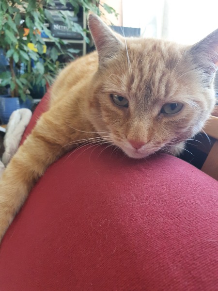 The Bluestocking Women's Pub, where brains can exist in a single state