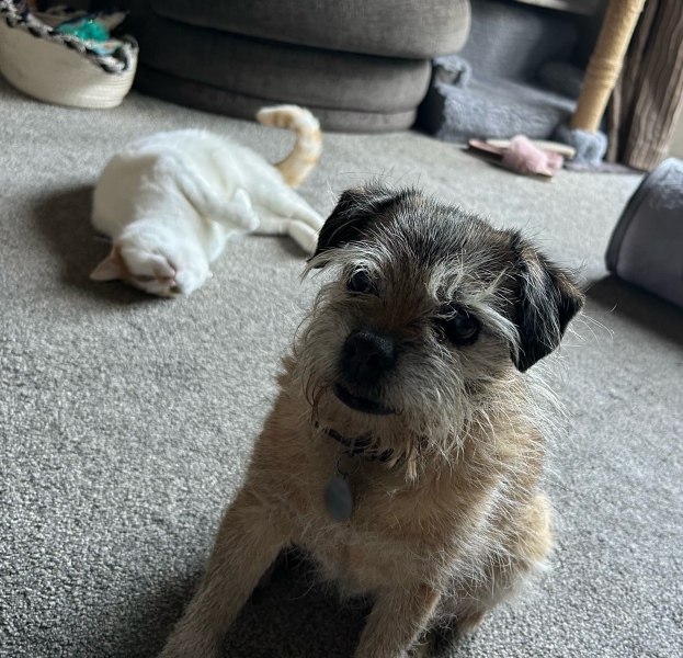 He just wants to love her