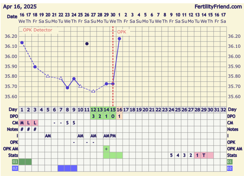 Can you ovulate on cycle day 8?
