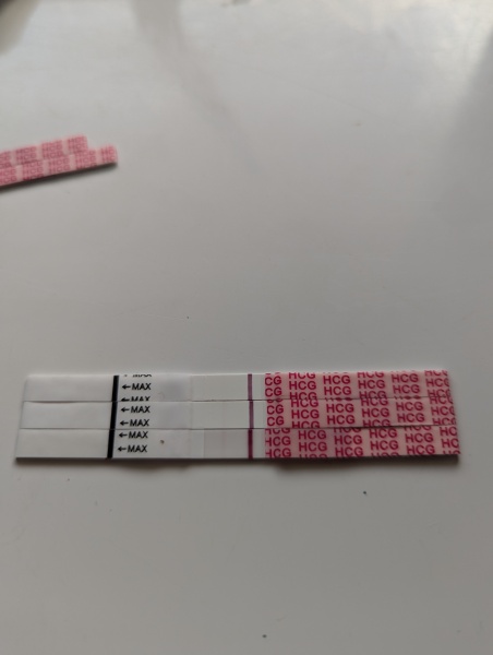 Are these indent lines?