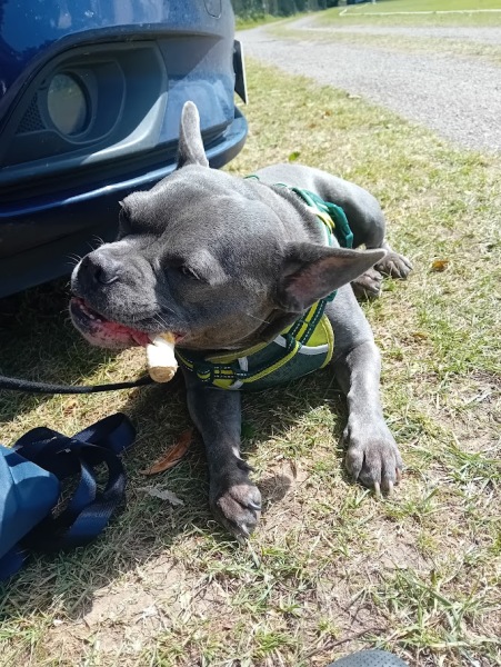 The support thread for anyone trying to live an alcohol free life. Spring 2025.