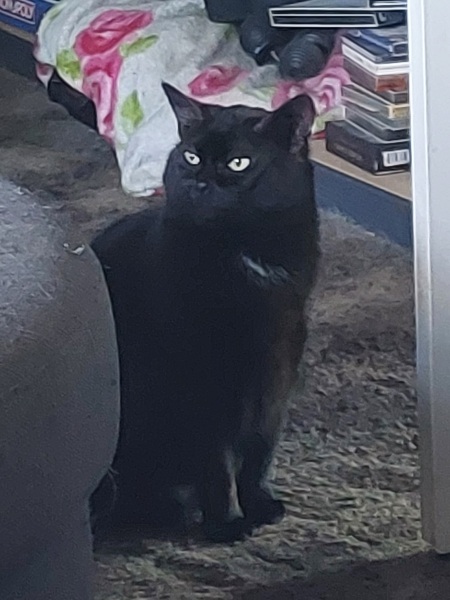 Thread 24 Starmer -Casting the net wider