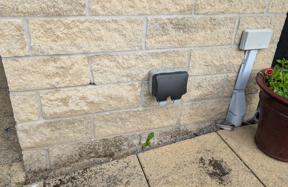 What should I plant here?