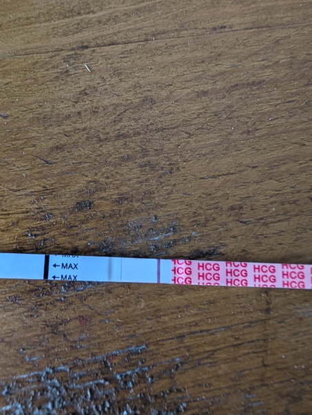 12dpo