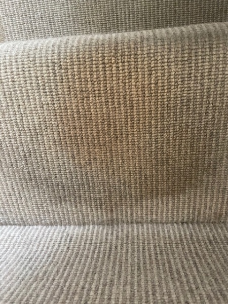 Aagh, have I ruined our carpet?