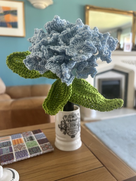 The Bluestocking Women's Pub, where brains can exist in a single state