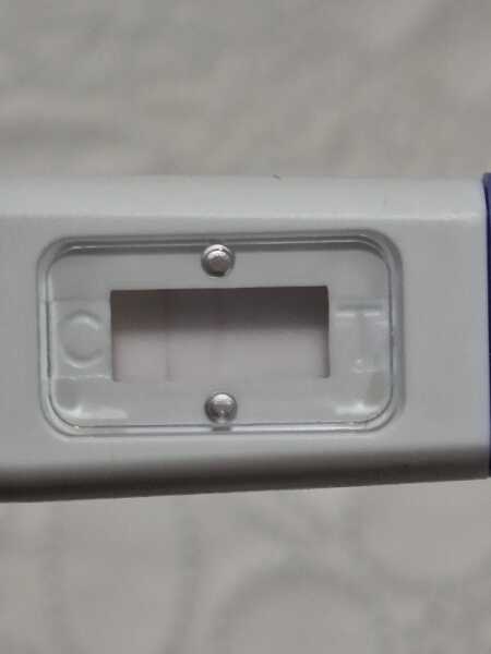 Pregnancy