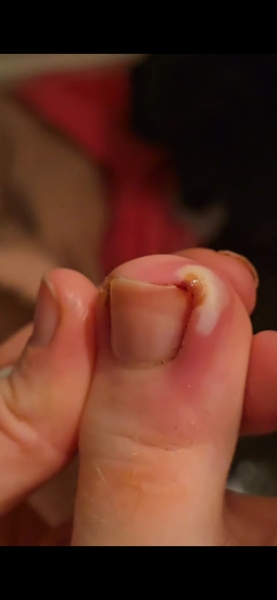 What is happening here?