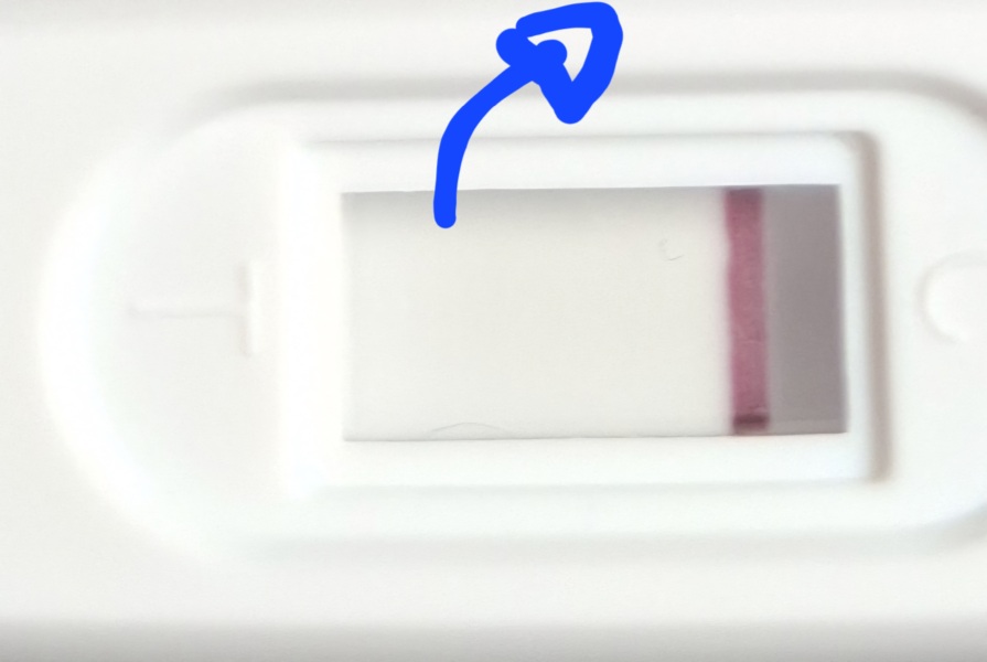 Pregnant on the Pill or Line Eyes